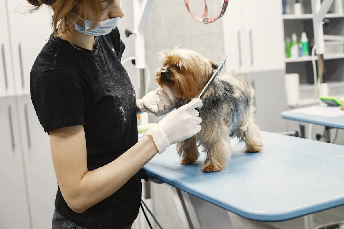 Pet Grooming Salon Cleaning Ottawa: Pet-Safe Hygiene